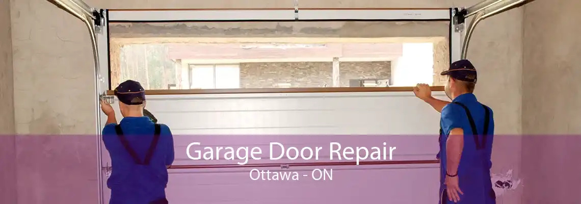 Garage Door Repair, Service and Maintenance